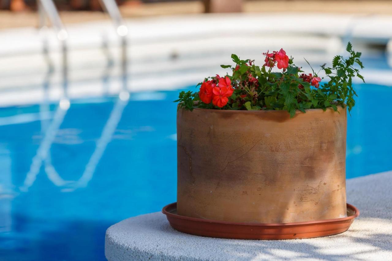 Casa Duende En Villa De Nijar Con Piscina Værelse billede